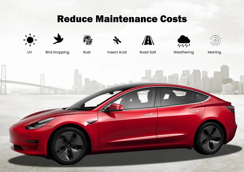 Side view of a red Tesla Model 3 with icons above it representing threats like UV, bird droppings, rust, insect acid, road salt, weathering, and marring, alongside the headline “Reduce Maintenance Costs.”